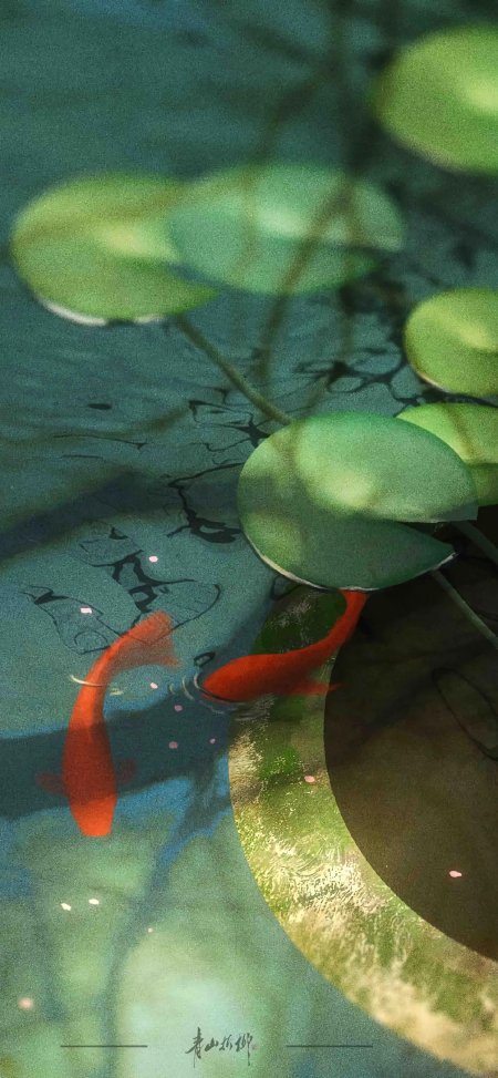 锦鲤游弋荷叶映水青绿水墨风绘画手机壁纸