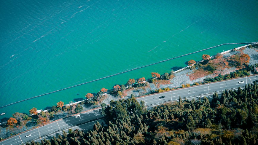 湖畔公路秋林映碧水蓝绿风景电脑壁纸