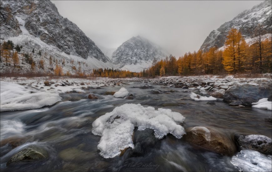 雪山溪流金松覆雪灰蓝风景电脑壁纸