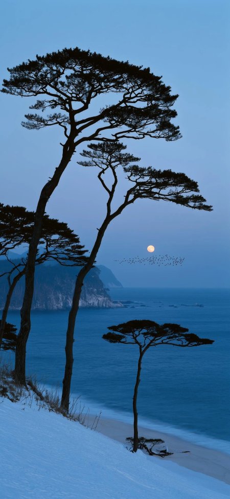 海边松树剪影月升鸟群蓝调自然风景手机壁纸