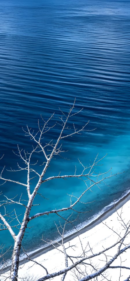 贝加尔湖蓝冰海岸雪覆枯枝冬日静谧蓝白风景手机壁纸