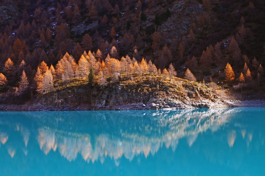 阿尔卑斯山湖畔秋林金橙倒影蓝碧风景电脑壁纸