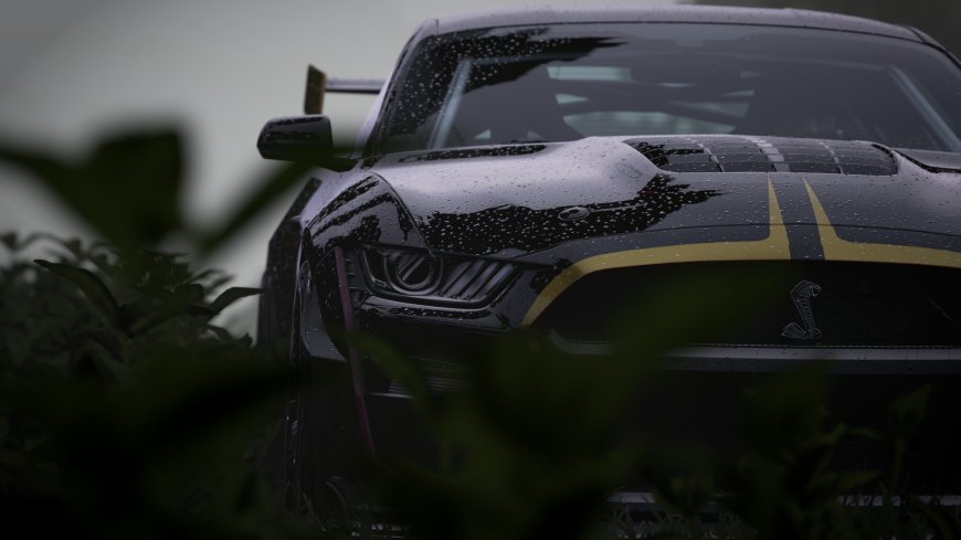 福特野马谢尔比GT500黑金条纹雨滴特写暗调汽车电脑壁纸