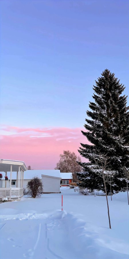 雪覆小屋松树挺立粉紫渐变天空风景手机壁纸