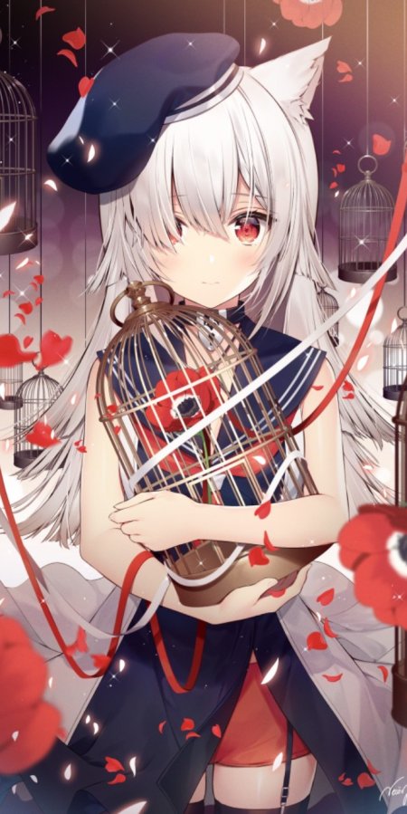 银发猫耳少女抱鸟笼红瓣飘落暗紫动漫手机壁纸