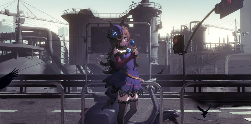 赛马娘特别周紫裙蓝花少女工业废墟背景灰紫动漫电脑壁纸
