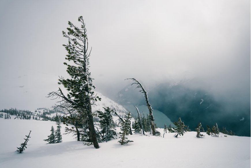 雪山孤松雾绕湖蓝白风景电脑壁纸