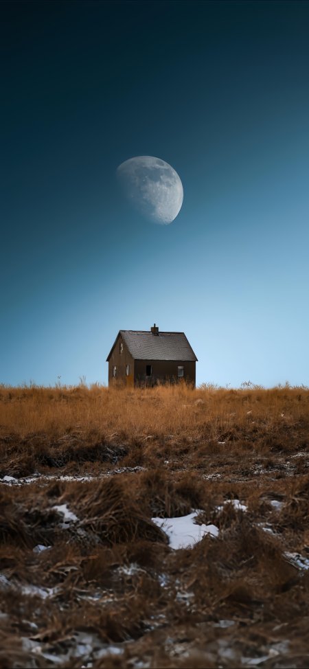 荒野小屋孤悬月下枯草覆雪蓝调风景手机壁纸