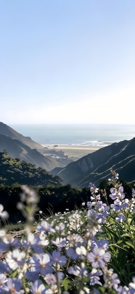 山间野花盛开远眺海岸线蓝白清新风景手机壁纸