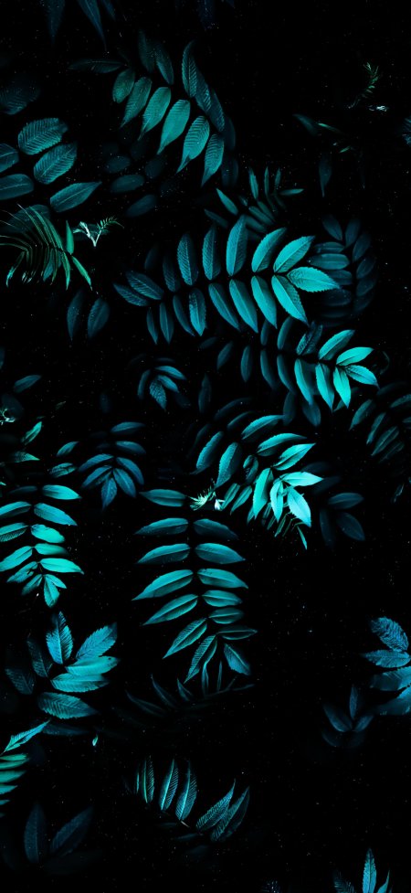 深邃夜色中荧光绿叶层叠交错蓝黑神秘花卉植物手机壁纸