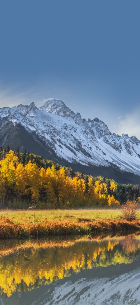 雪山金林倒影湖畔秋色蓝白风景手机壁纸