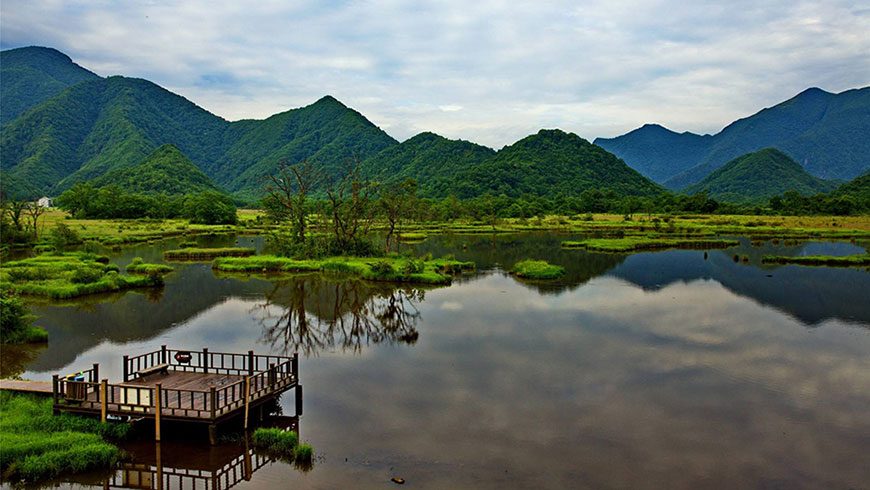 山林中的湿地胡泊壁纸