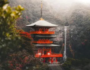 全部专题