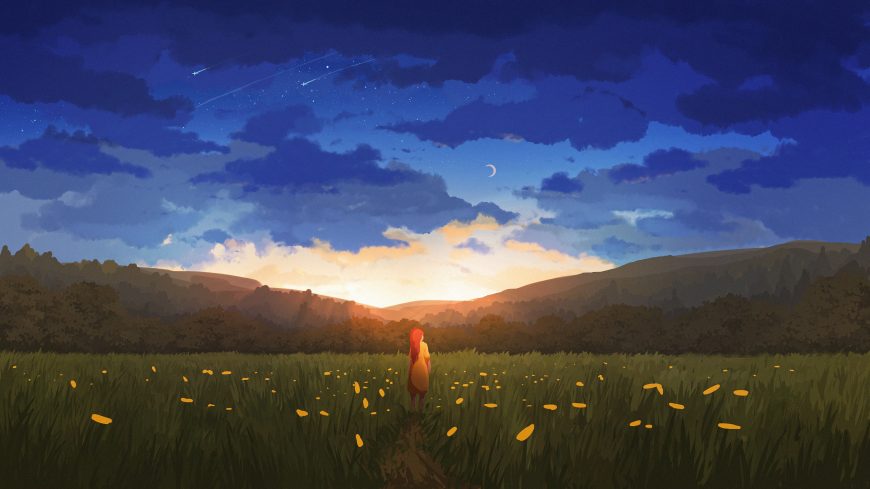 少女立于花海仰望流星雨治愈系插画动漫电脑壁纸
